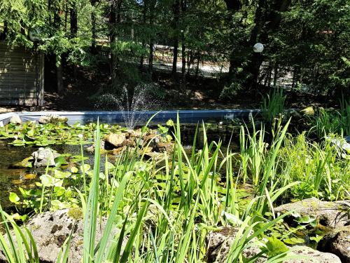 Grossdorf Ferienwohnung Waldsuite im Harz