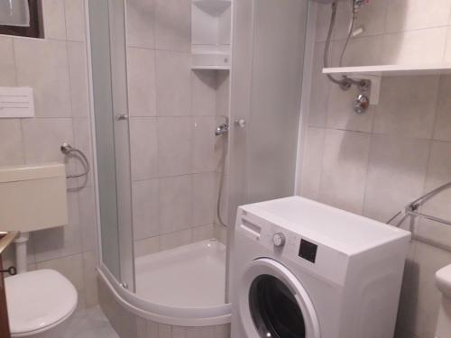 Apartmani Roza Lopar