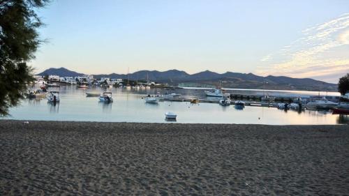 ชายหาด, Flag Suites in พอลโลเนีย