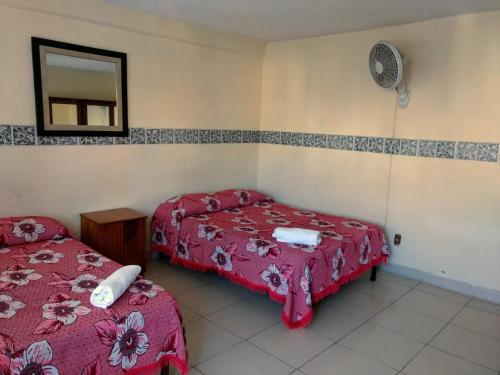 Hotel Plaza Aleman in León, Mexico