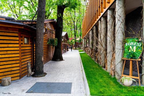 Étterem, FOREST M,Constanta in Valu lui Traian