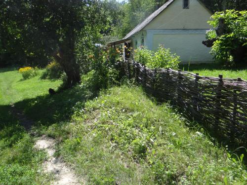 Maliovnytsya in Zhukovtsy