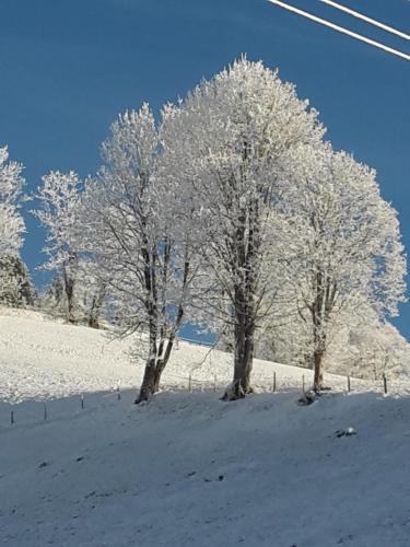 Bergpension-Ebental