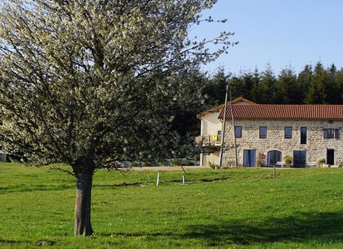 Auberge des Myrtilles