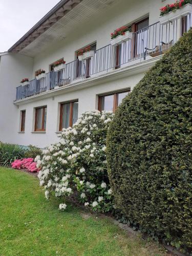 Haus Leifert - image 8