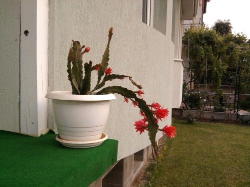 Aleks Guest House - image 4