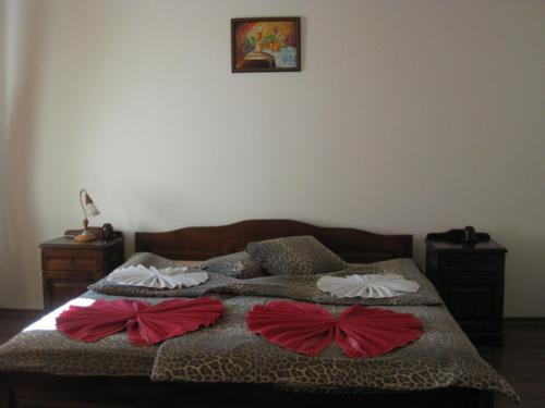 Hotel Hitar Petar - image 8
