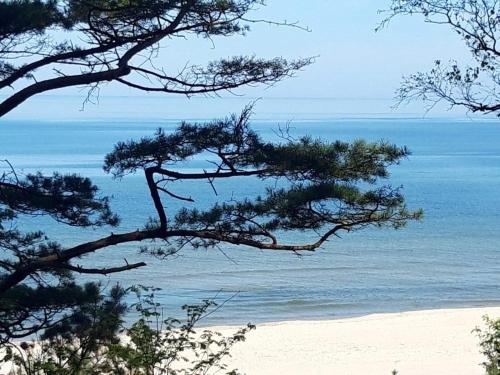 Apartament Marco