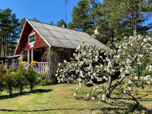 Nõva Madise Guesthouse - main image