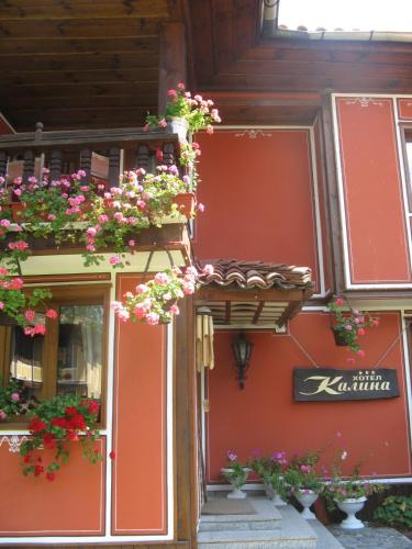 Family Hotel Kalina - image 12