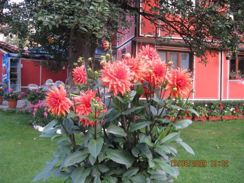 Family Hotel Kalina - image 5