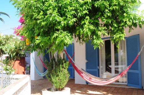  Jho'La Surf Camp, Pension in Luz