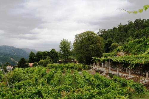 Quinta da Pousadela - Agroturismo