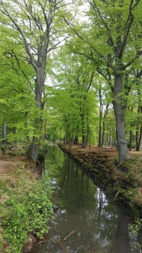 Apkārtne, Herberg Boswijck, B&B in Wijckel