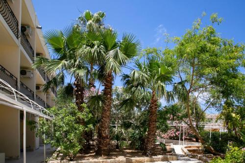 Beach Garden Hotel - image 7