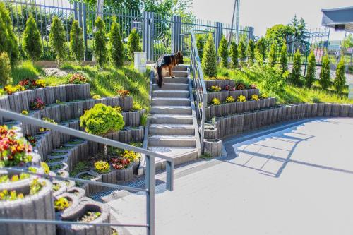 Apartamenty Mazury in 姆龍戈沃