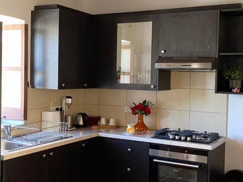 C-elena Suite in Kritou Terra