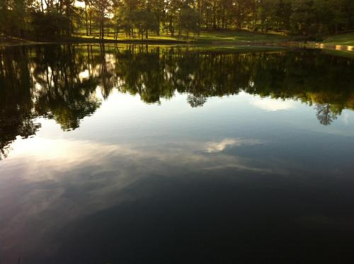 Dogwood Springs Lodgings - image 6