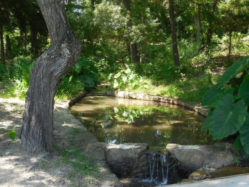 Nas proximidades, Dogwood Springs Lodgings in Mineola (TX)