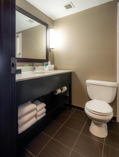 Holiday Inn Express Hotel & Suites - Edmonton International Airport, an IHG Hotel