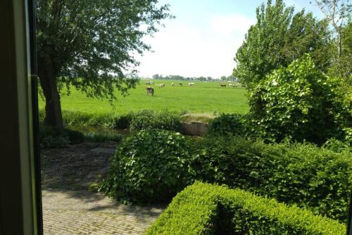 周邊環境, Accommodatie op boerderij Buitenlust in 市中心