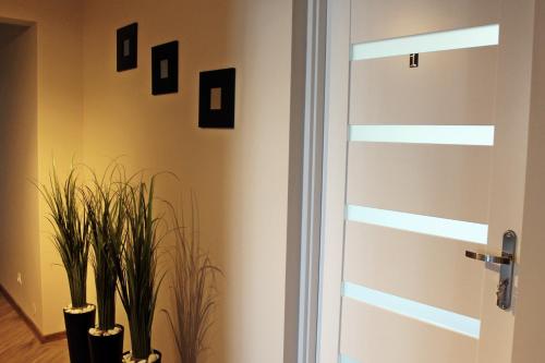 Apartamenty w Kamienicy