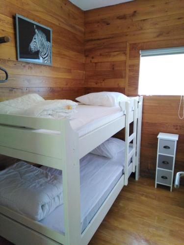 Au repaire des écureuils