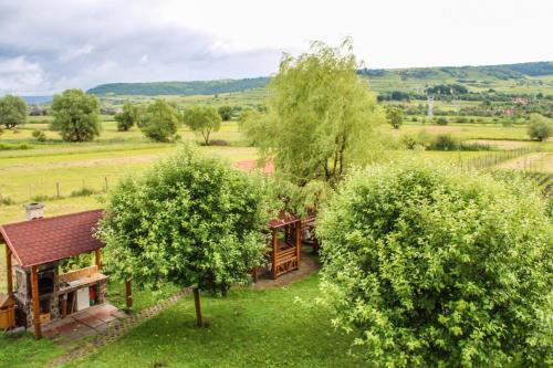 Skats, Sovidek Guesthouse in Ocna De Sus