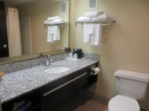 Best Western Knoxville Suites - Downtown - image 6