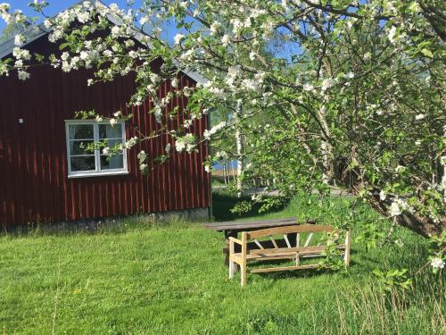 花園, Tättas stuga på Malingsbo Herrgård (Tattas stuga pa Malingsbo Herrgard) in 南拜爾克