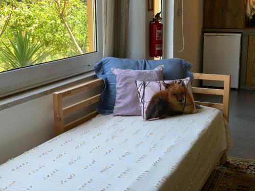 Loft - Casinha à Porta – khách sạn tại Arouca