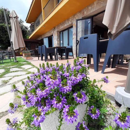 Hotel Rural Cor De Prades