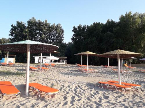 Samskara-Beach - Hotel - Călăraşi