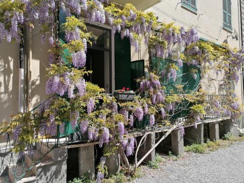 Il Giardino di Elettra - FreeParking, Gênes (photo 10)