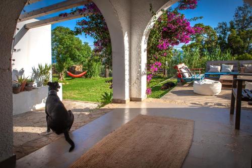 Wild House Tarifa in Tarifa