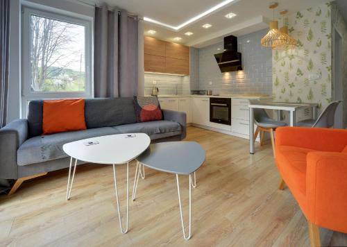 Apart Invest Waryńskiego 12, Sklářská Poruba (fotografie 5)