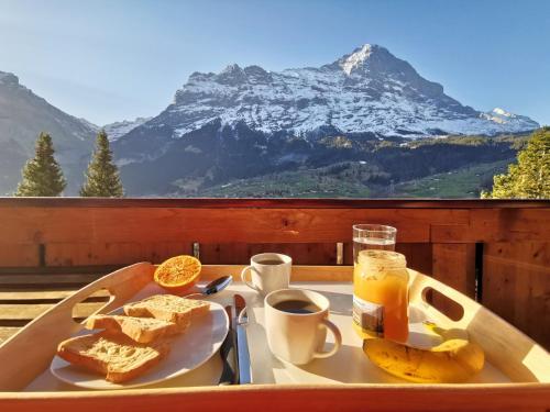 Chalet M 6484015 Grindelwald