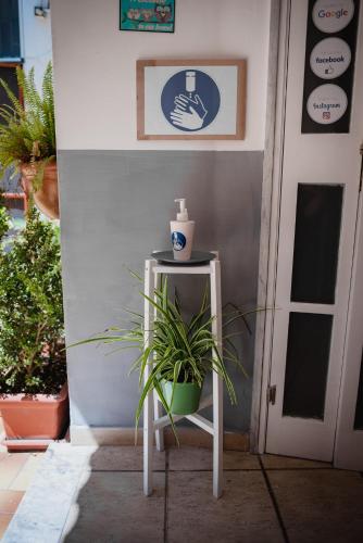 Casa Lena B&B – Naples, CO