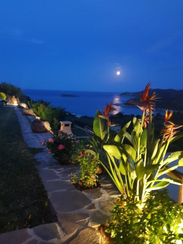  Villa Alexandra in Petriaí