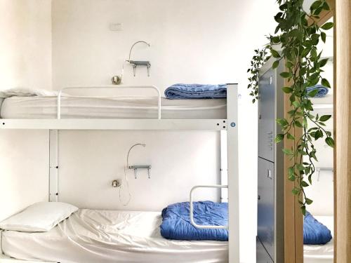 Grand Hostel Manin - image 4