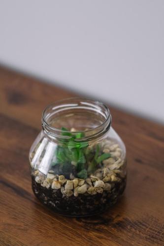 Апартаменты SILENA Апартаменты SILENA