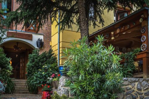 Bagolyvár Hotel - image 13