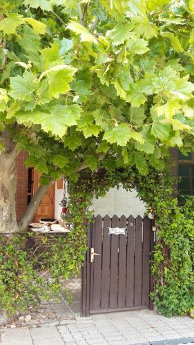  Agave Apartman in Velence