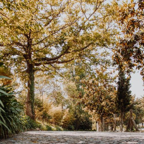 Quinta Do Padrao - image 2
