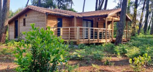 Airial du Seignanx - image 5