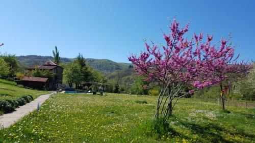 Agriturismo Fattoria Ca Di Sole