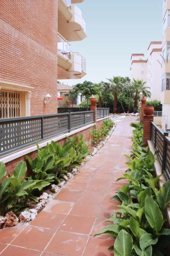 Apartamentos Imperial - image 3
