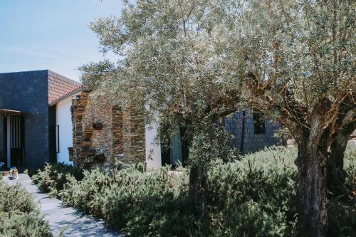  Casas da Fontanheira in Marvão