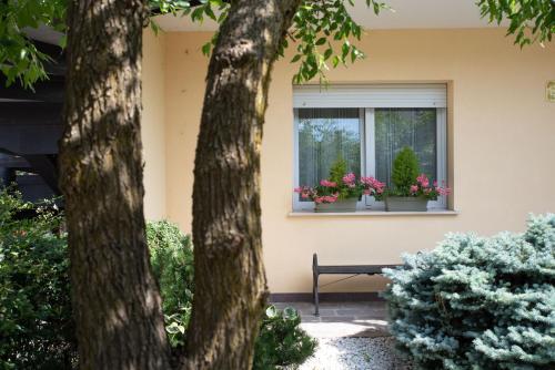 B&B BrentaGiardino