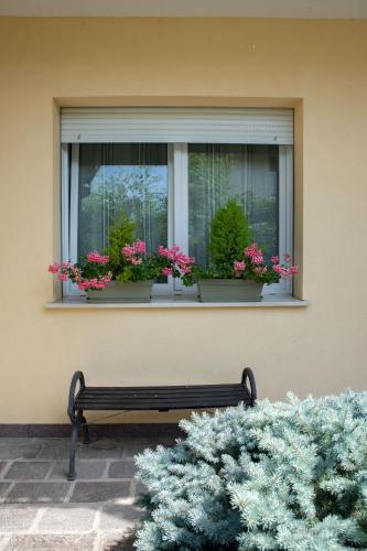B&B BrentaGiardino
